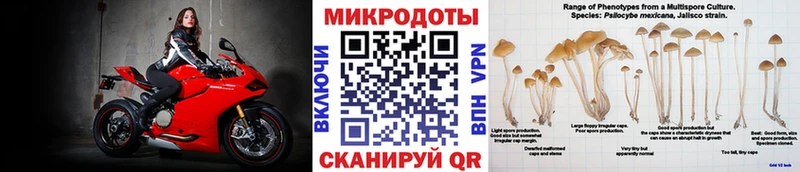 Псилоцибиновые грибы GOLDEN TEACHER  Дорогобуж 